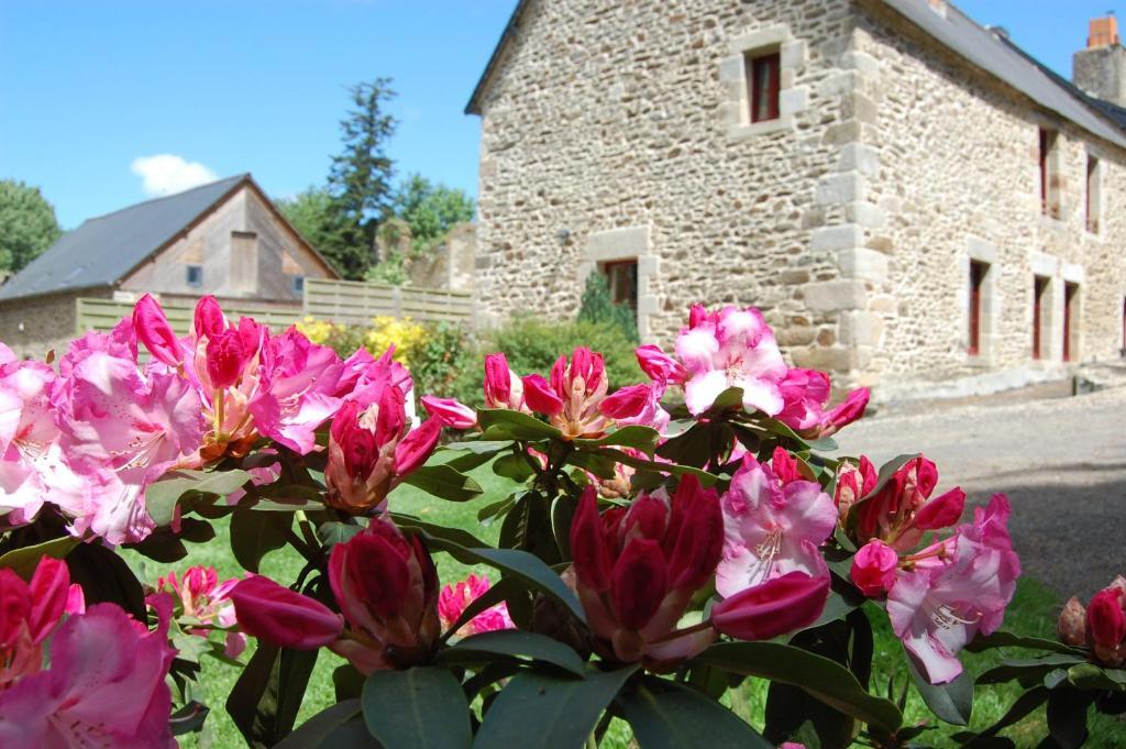 Maison D'Hotes & Gites Domaine De La Garaye Dinan Bagian luar foto